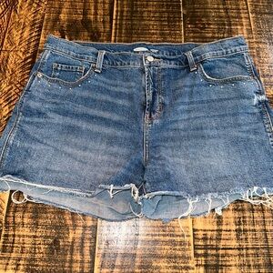Distressed with studs shorts size 14